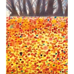 Uitgeverij Samsara Het Lied Van De Nachtegaal -Kinderboek Winkel uitgeverij samsara het lied van de nachtegaal 1