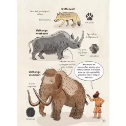 Uitgeverij Usborne 24 Uur In De Steentijd -Kinderboek Winkel uitgeverij usborne 24 uur in de steentijd 3