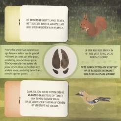 Veltman Uitgevers Flapjesboek Van Wie Is Dit Spoor? -Kinderboek Winkel uitgeverij veltman van wie is dit spoor4