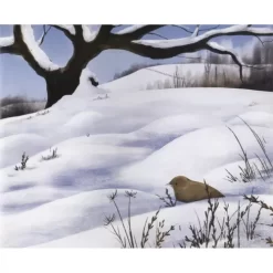 Veltman Uitgevers De Wintervogel 18 Veltman Uitgevers De Wintervogel -Kinderboek Winkel veltman uitgevers de wintervogel 10