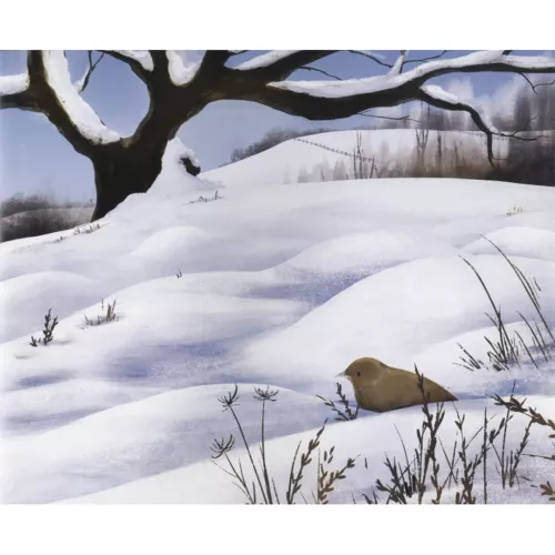 Veltman Uitgevers De Wintervogel 9 Veltman Uitgevers De Wintervogel - Afbeelding 9