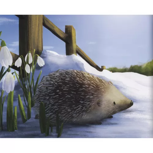 Veltman Uitgevers De Wintervogel 10 Veltman Uitgevers De Wintervogel - Afbeelding 10