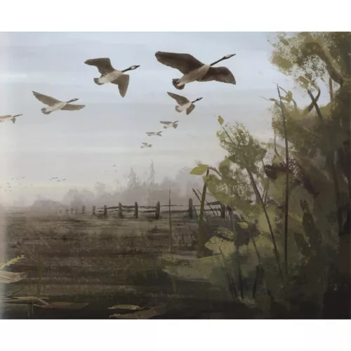 Veltman Uitgevers De Wintervogel 5 Veltman Uitgevers De Wintervogel - Afbeelding 5