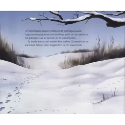 Veltman Uitgevers De Wintervogel 17 Veltman Uitgevers De Wintervogel -Kinderboek Winkel veltman uitgevers de wintervogel 9