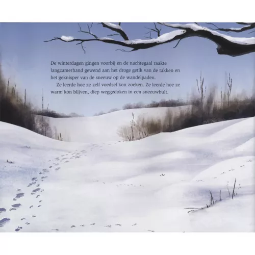 Veltman Uitgevers De Wintervogel 8 Veltman Uitgevers De Wintervogel - Afbeelding 8