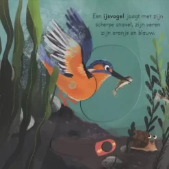 Veltman Uitgevers In Het Water -Kinderboek Winkel veltman uitgevers in het water4