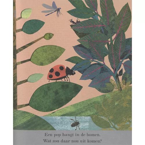 Veltman Uitgevers Ontdek De Grote Wereld Van Kleine Insecten 10 Veltman Uitgevers Ontdek De Grote Wereld Van Kleine Insecten - Afbeelding 10