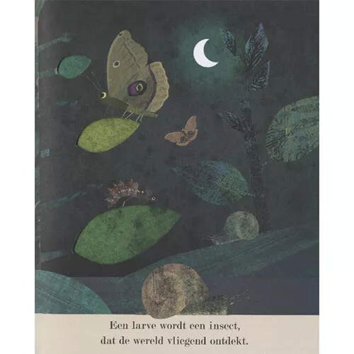 Veltman Uitgevers Ontdek De Grote Wereld Van Kleine Insecten 6 Veltman Uitgevers Ontdek De Grote Wereld Van Kleine Insecten - Afbeelding 6