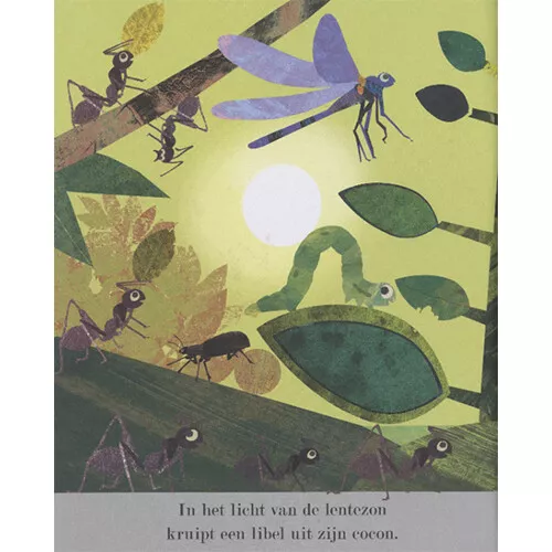 Veltman Uitgevers Ontdek De Grote Wereld Van Kleine Insecten 7 Veltman Uitgevers Ontdek De Grote Wereld Van Kleine Insecten - Afbeelding 7