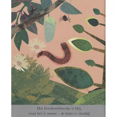 Veltman Uitgevers Ontdek De Grote Wereld Van Kleine Insecten 9 Veltman Uitgevers Ontdek De Grote Wereld Van Kleine Insecten - Afbeelding 9