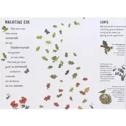 Veltman Uitgevers Seizoenen -Kinderboek Winkel veltman uitgevers seizoenen 2