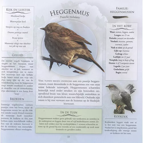 Veltman Uitgevers Welke Vogel Zit Er In Mijn Tuin? - Afbeelding 9