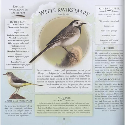 Veltman Uitgevers Welke Vogel Zit Er In Mijn Tuin? - Afbeelding 10
