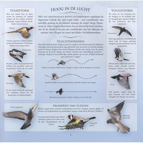 Veltman Uitgevers Welke Vogel Zit Er In Mijn Tuin? - Afbeelding 5