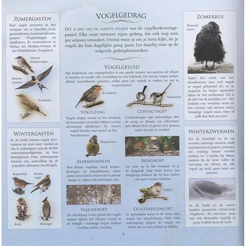 Veltman Uitgevers Welke Vogel Zit Er In Mijn Tuin? - Afbeelding 6