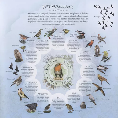 Veltman Uitgevers Welke Vogel Zit Er In Mijn Tuin? - Afbeelding 7