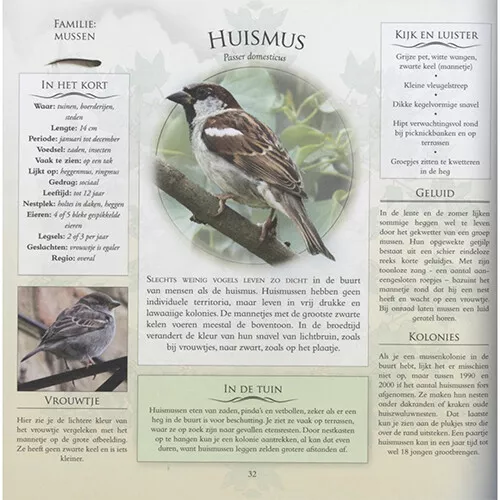 Veltman Uitgevers Welke Vogel Zit Er In Mijn Tuin? - Afbeelding 8