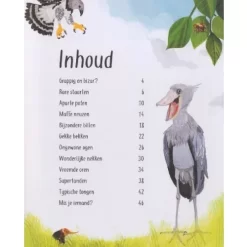 Veltman Uitgevers Grappige Billen En Gekke Bekken -Kinderboek Winkel veltmann uitgevers grappige billen en gekke bekken2