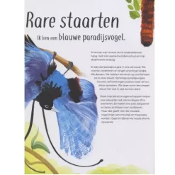 Veltman Uitgevers Grappige Billen En Gekke Bekken -Kinderboek Winkel veltmann uitgevers grappige billen en gekke bekken4