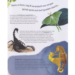 Veltman Uitgevers Grappige Billen En Gekke Bekken -Kinderboek Winkel veltmann uitgevers grappige billen en gekke bekken5