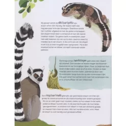 Veltman Uitgevers Grappige Billen En Gekke Bekken -Kinderboek Winkel veltmann uitgevers grappige billen en gekke bekken6