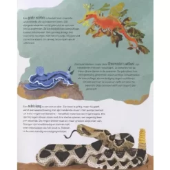 Veltman Uitgevers Grappige Billen En Gekke Bekken -Kinderboek Winkel veltmann uitgevers grappige billen en gekke bekken7