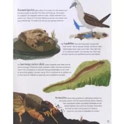 Veltman Uitgevers Grappige Billen En Gekke Bekken -Kinderboek Winkel veltmann uitgevers grappige billen en gekke bekken9